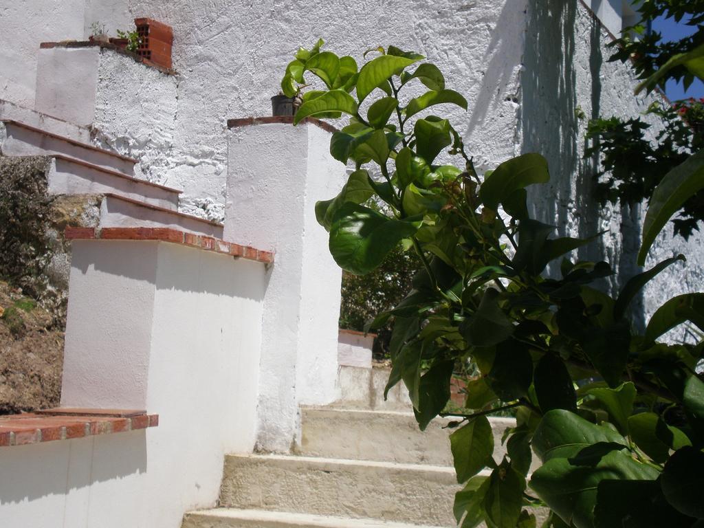 Apartamentos Rurales El Canuelo De Carcabuey 객실 사진